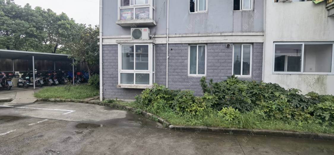 上海校南新村小区_小牛看房