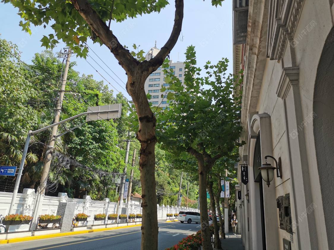 上海平安大楼小区_平安大楼小区null