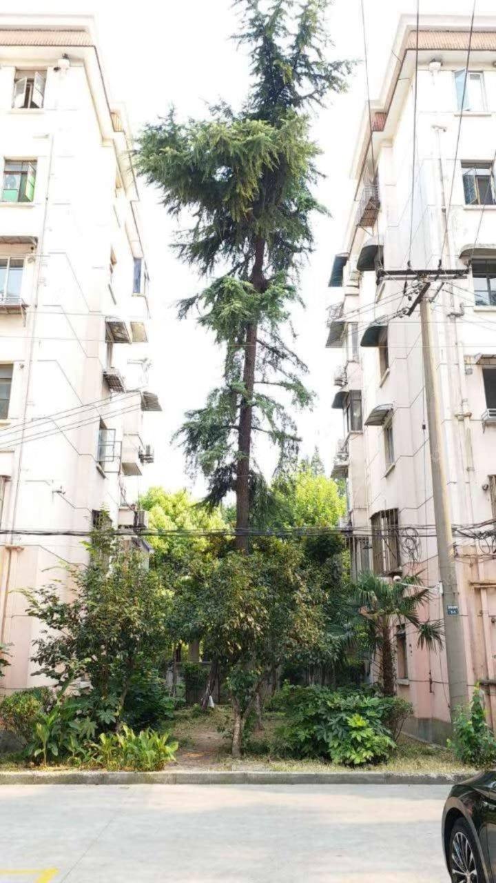 上海镇北小区(虹口)小区_小牛看房