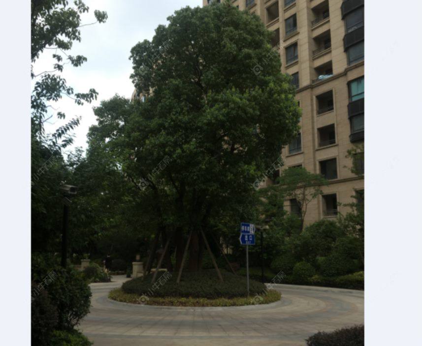 上海中信君廷小区_中信君廷小区null