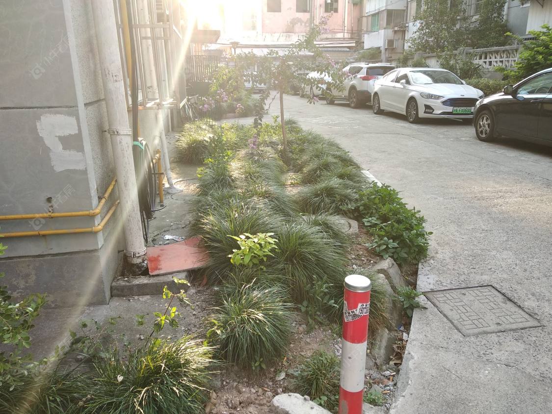 上海文化新村(惠南)小区_文化新村(惠南)小区null