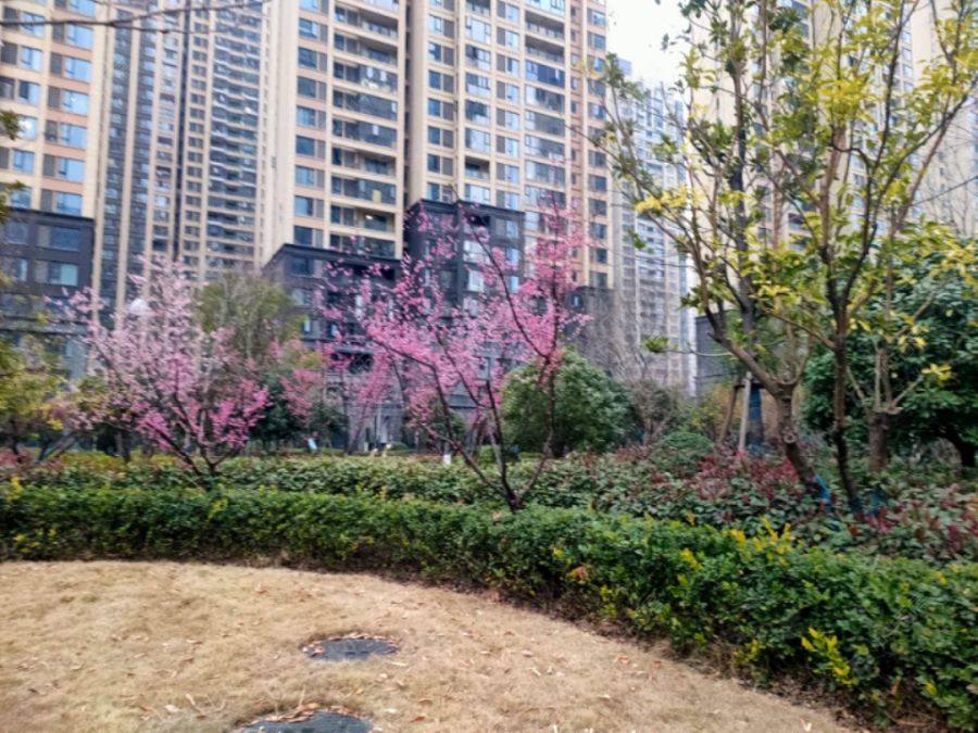 上海星月金融湾小区_星月金融湾小区null