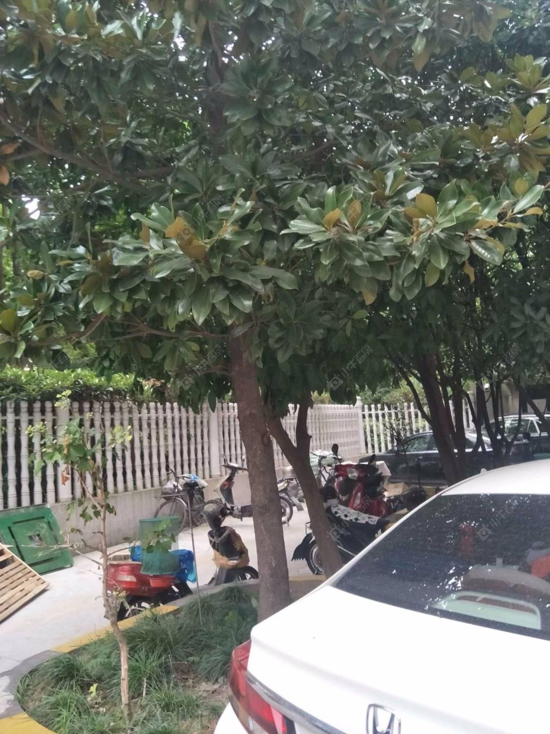 上海华盛大楼小区_华盛大楼小区null