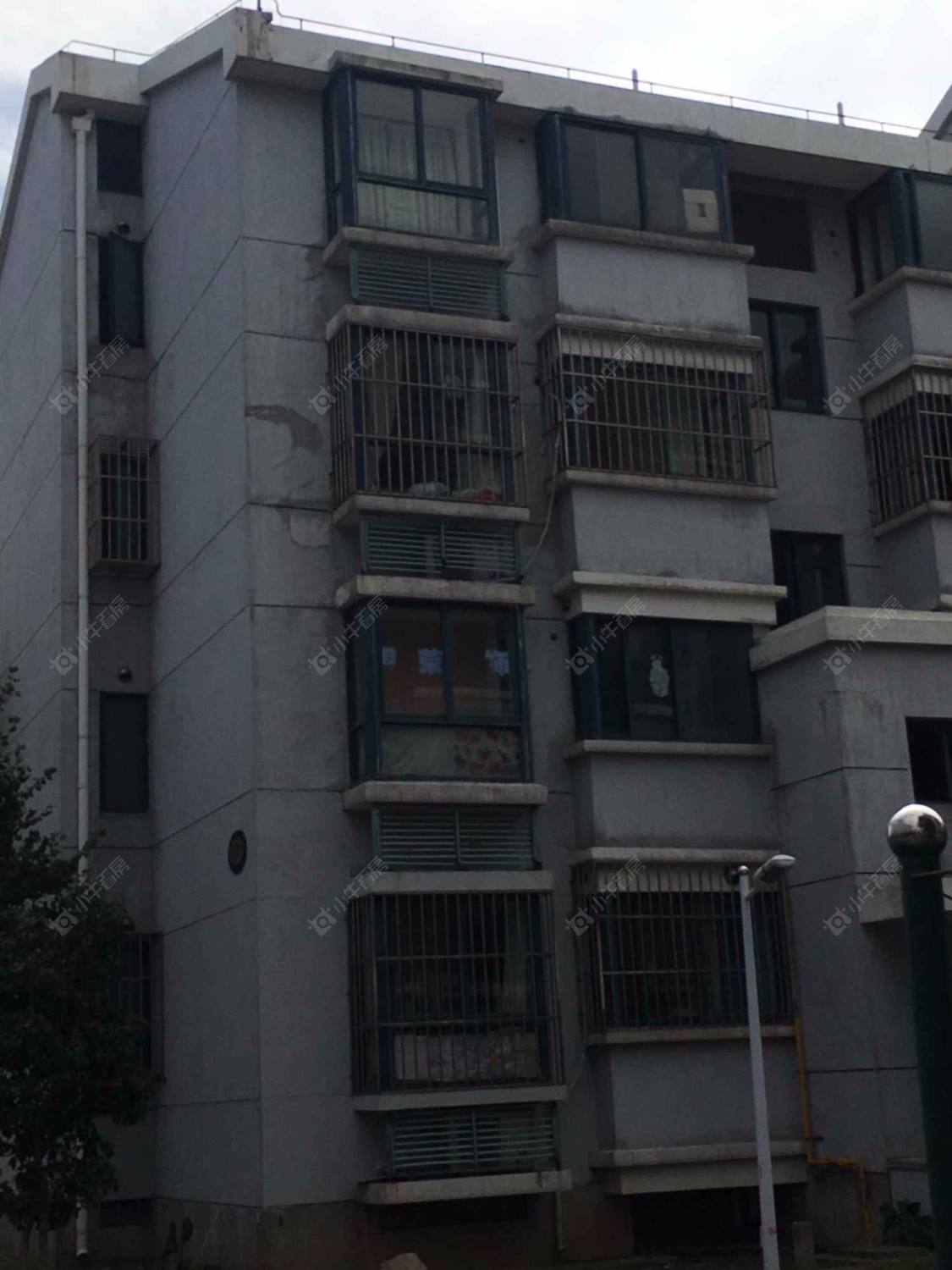 上海新舒苑北苑小区_新舒苑北苑小区null