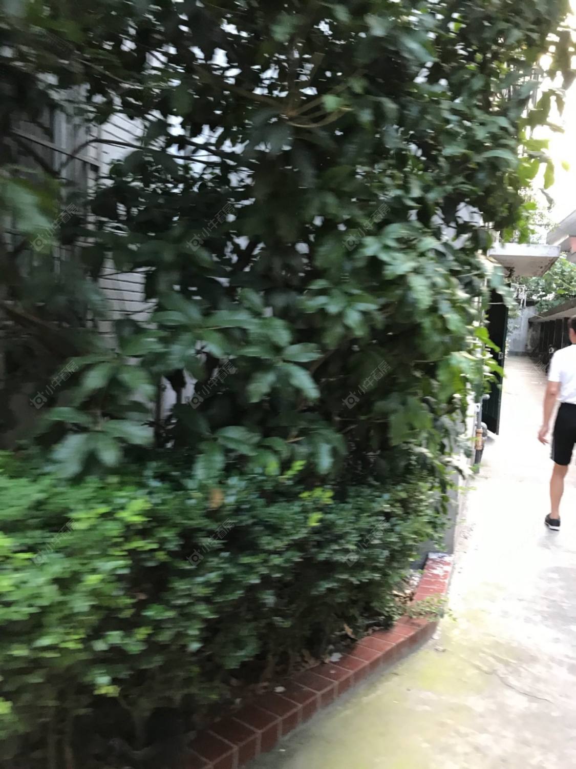 上海运光路5弄小区_运光路5弄小区null