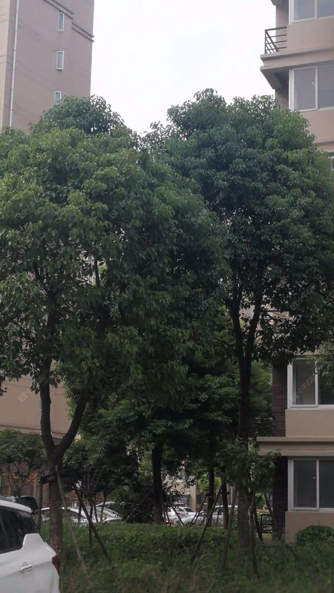 上海聚缘中庭小区_聚缘中庭小区null