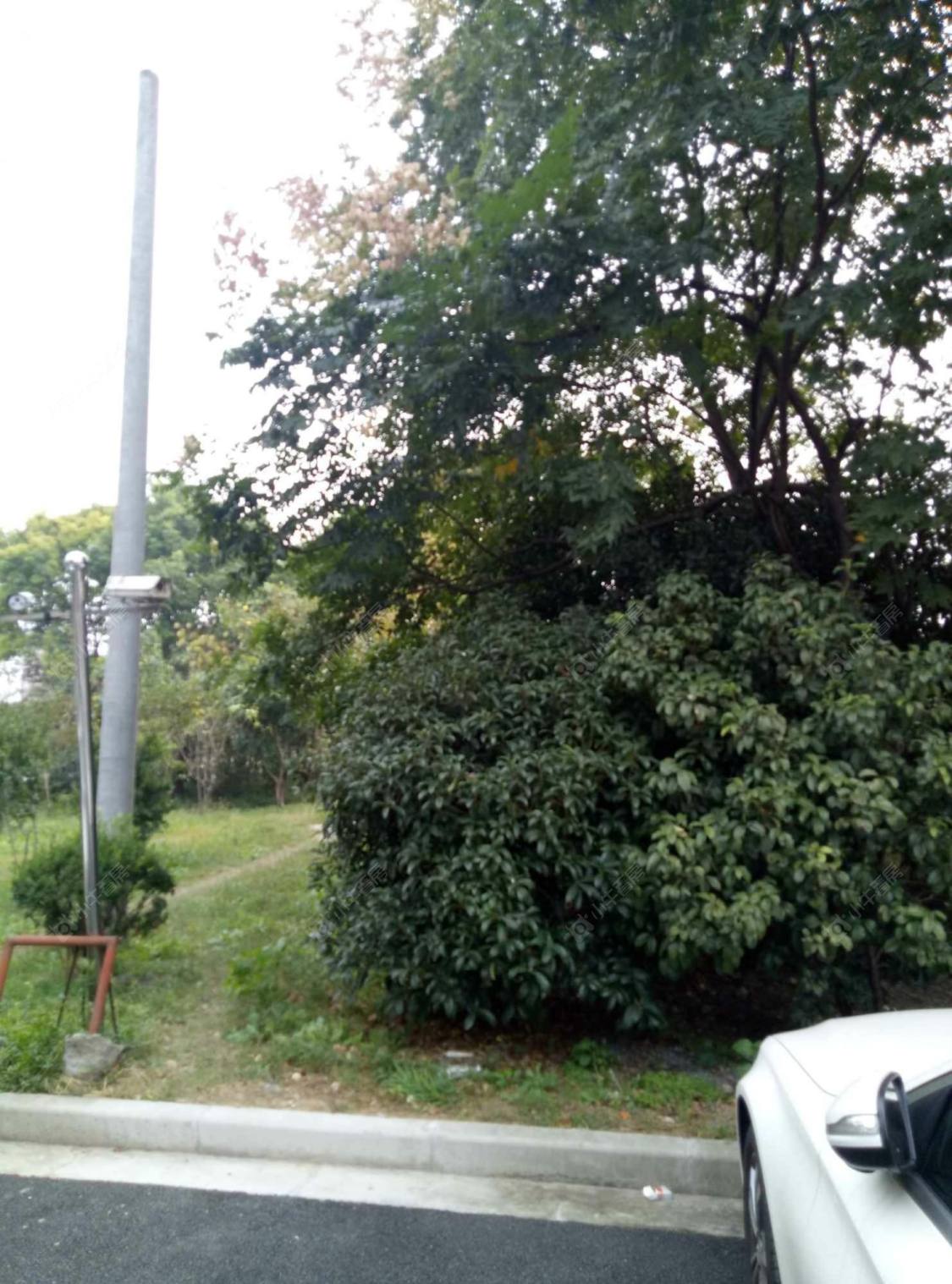 上海虹井小区小区_虹井小区小区null