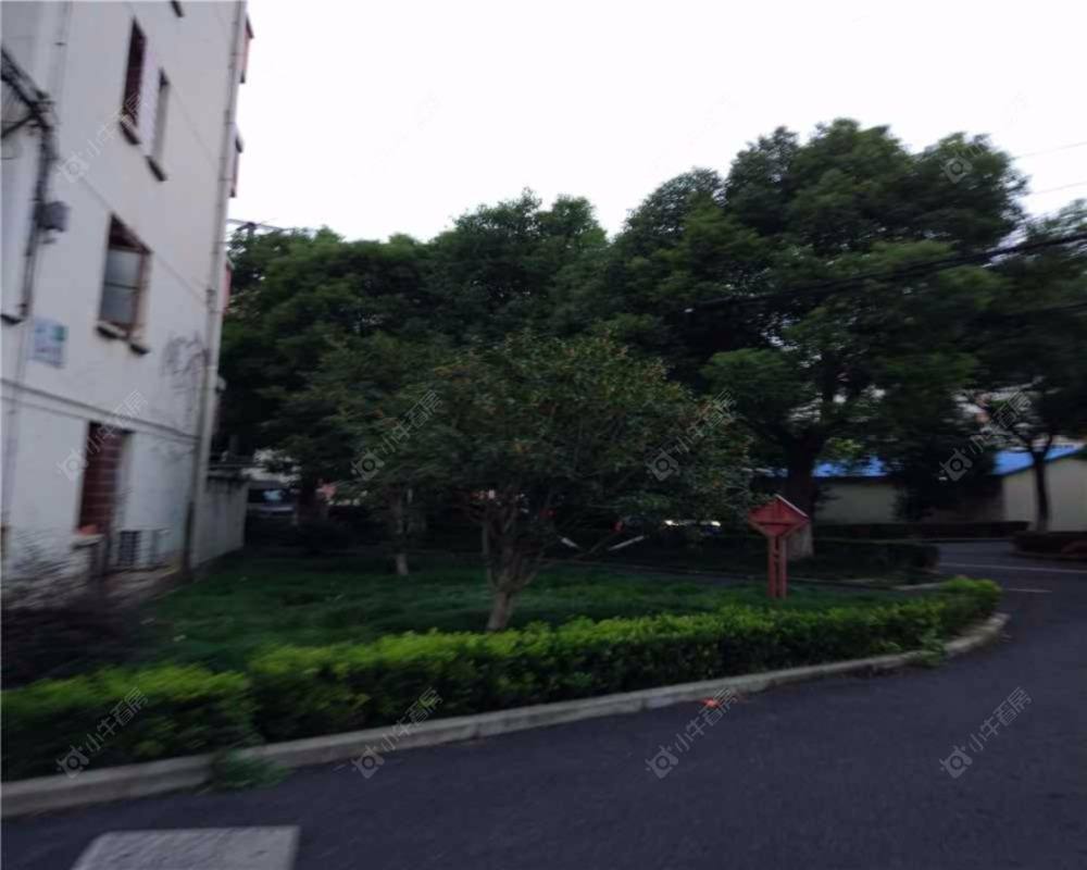 高东新村41弄封面图_小牛看房