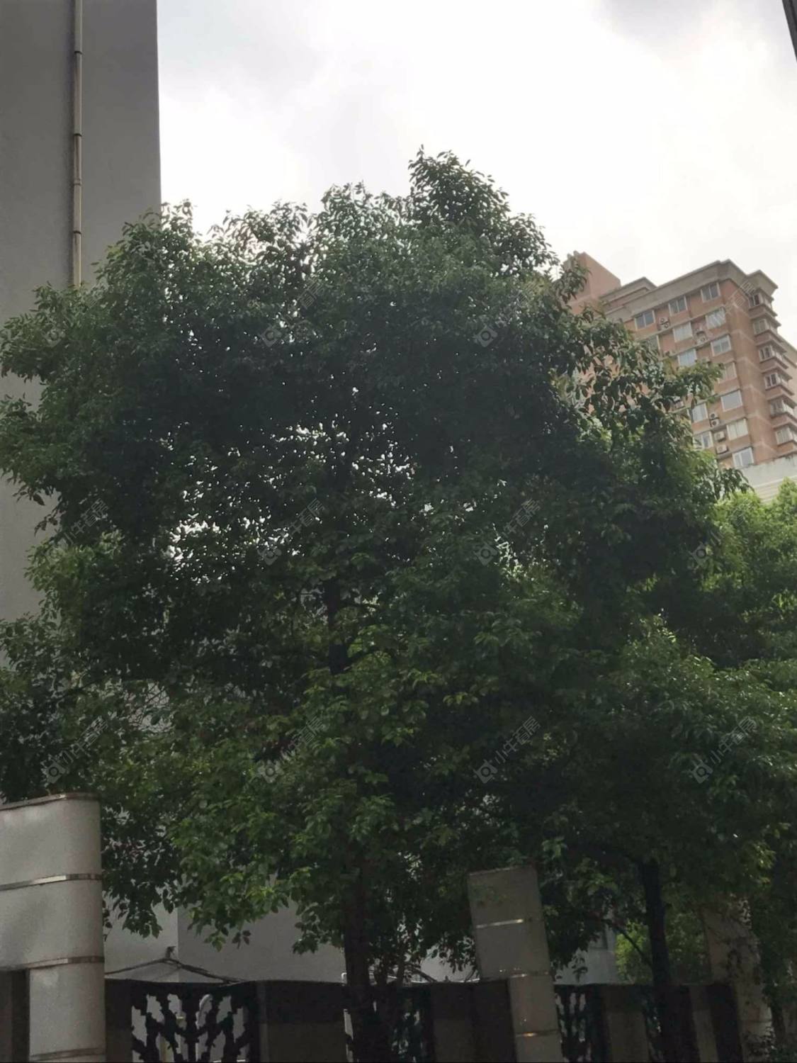 上海康海大楼小区_康海大楼小区null