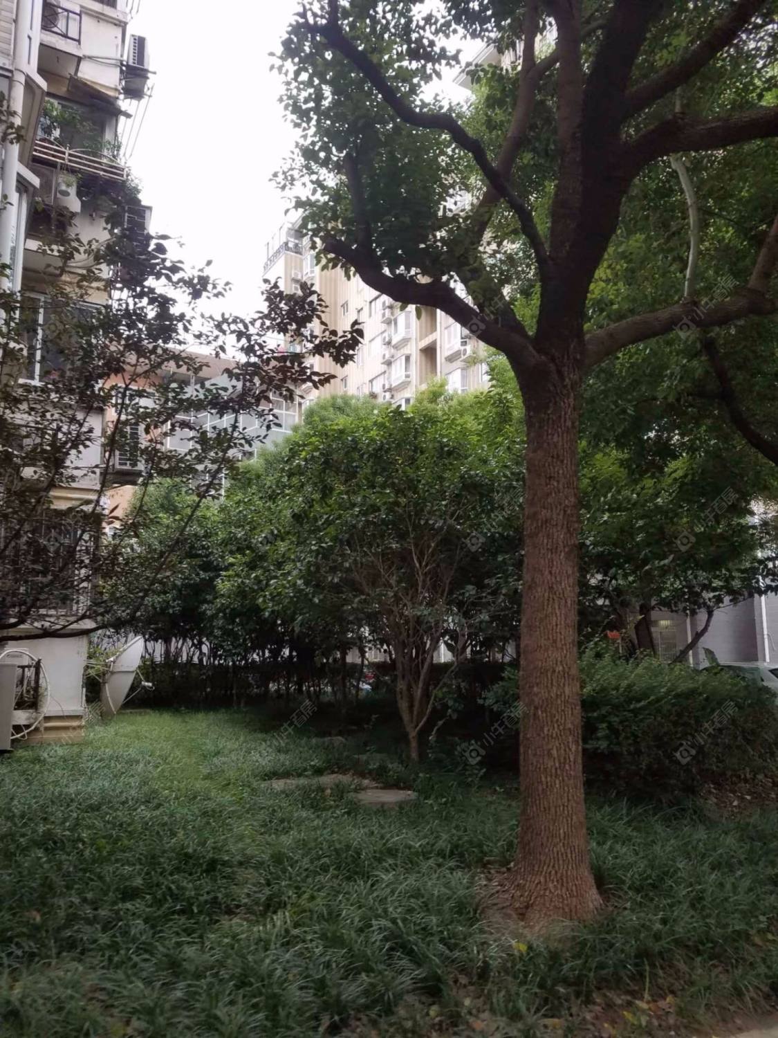 上海东盈公寓小区_东盈公寓小区null