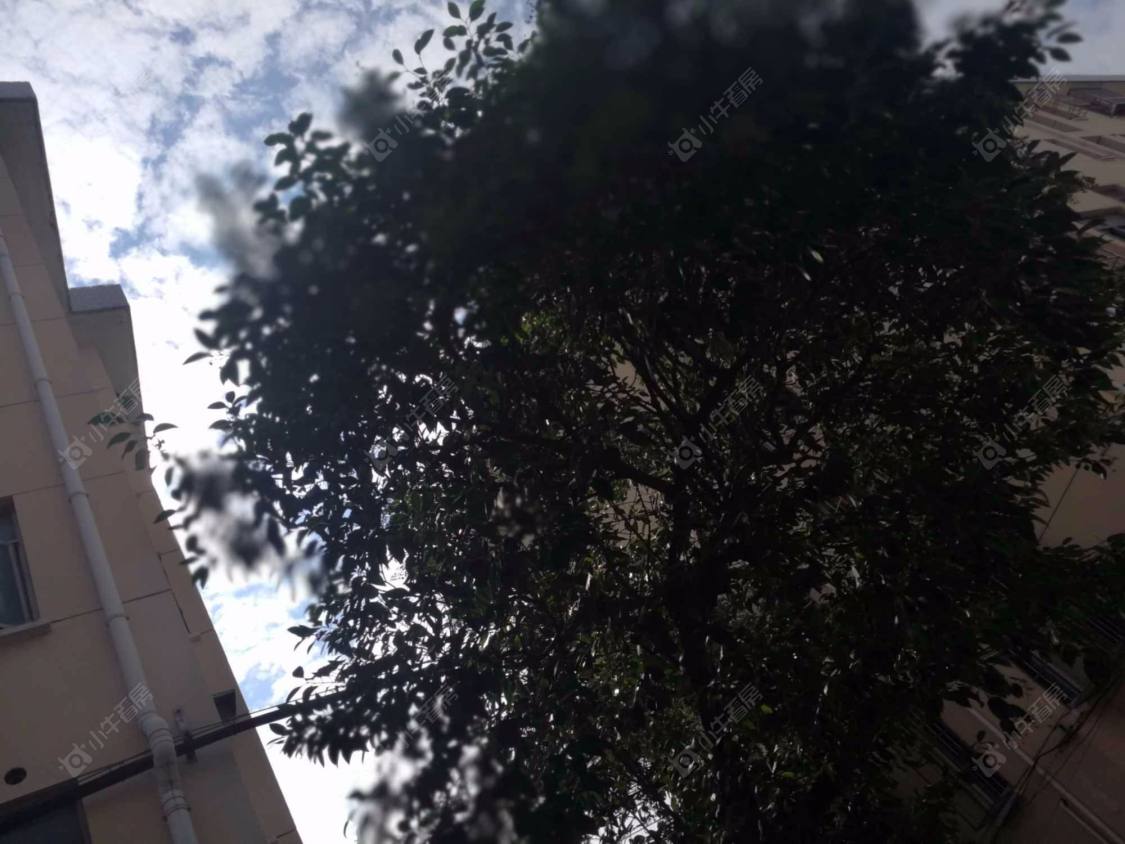 上海黎安四村小区_黎安四村小区null