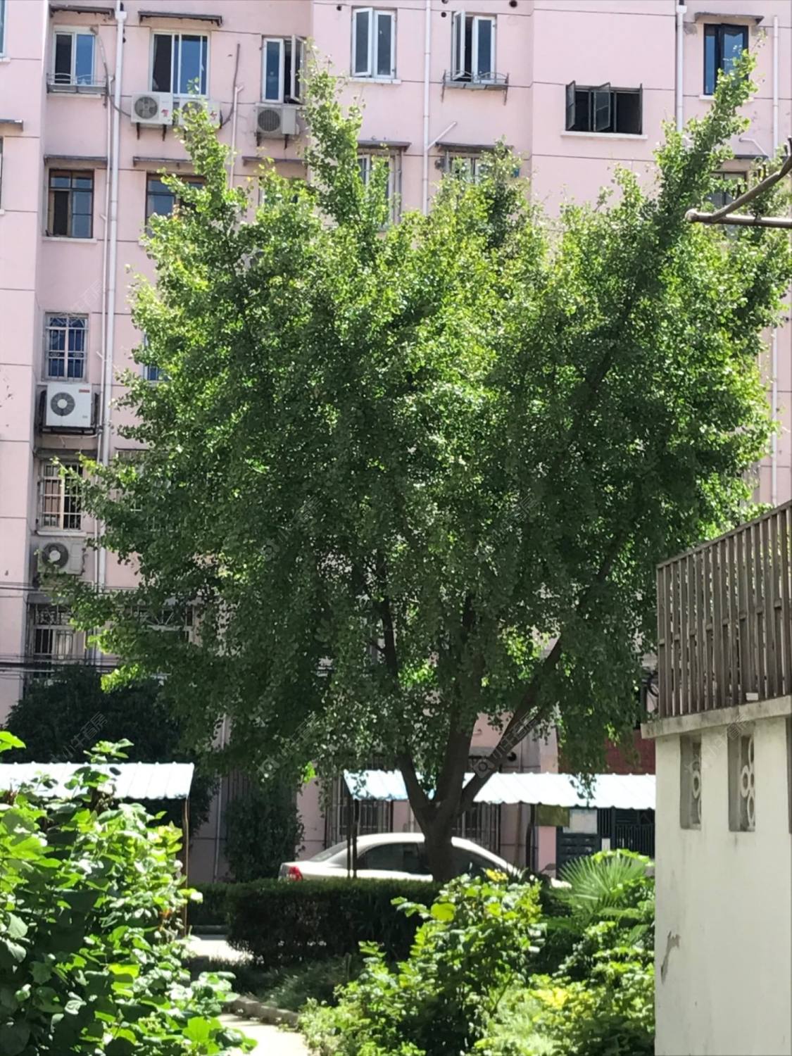 上海古美西路420弄小区_古美西路420弄小区null