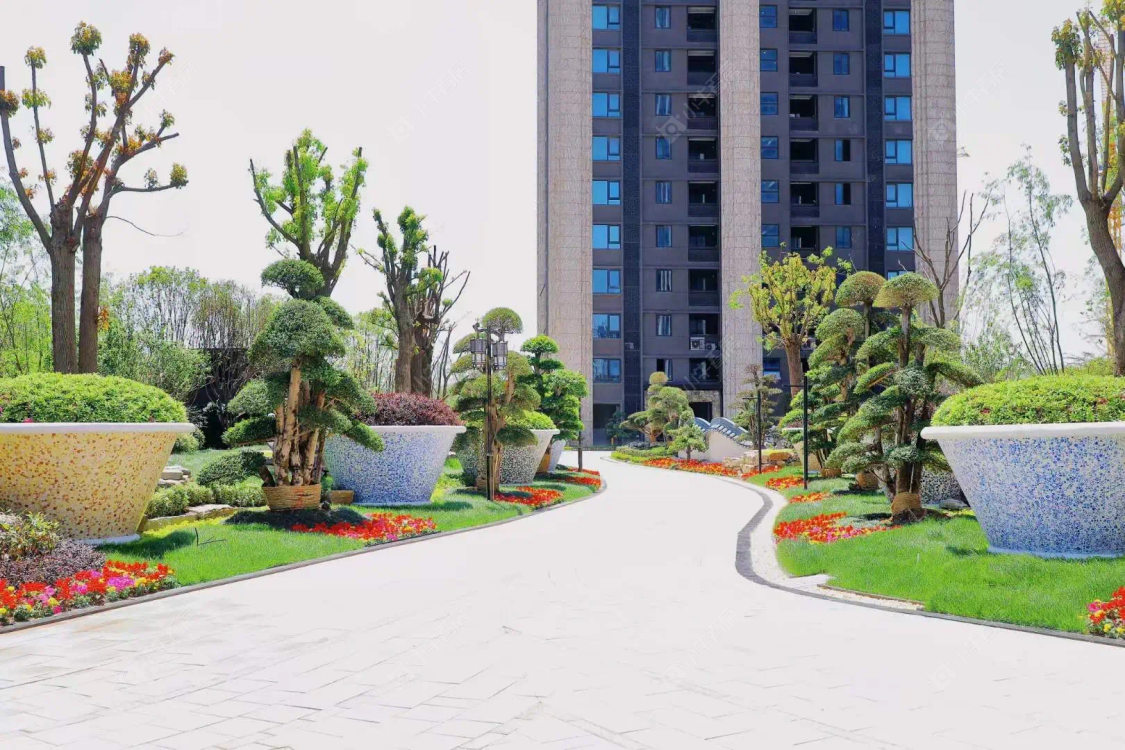 上海泗泾绿中海小区_泗泾绿中海小区null