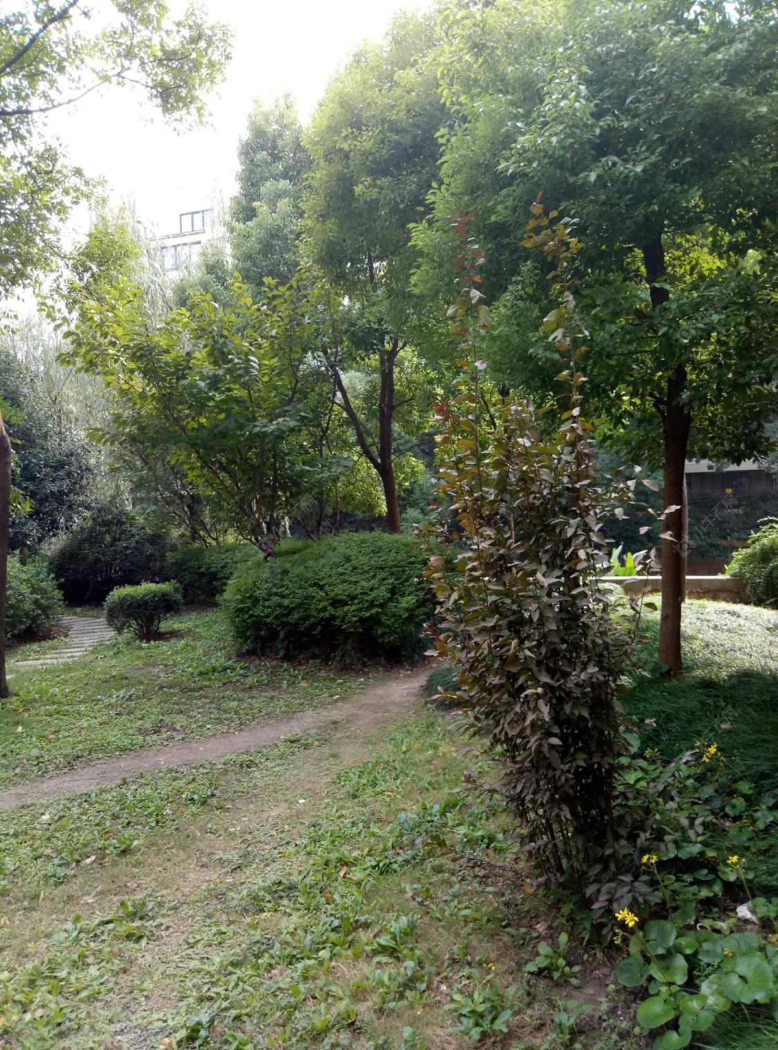 上海虹井小区小区_虹井小区小区null