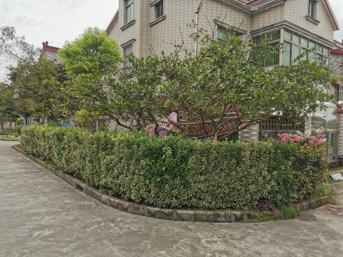 上海元吉小区西区小区_元吉小区西区小区null