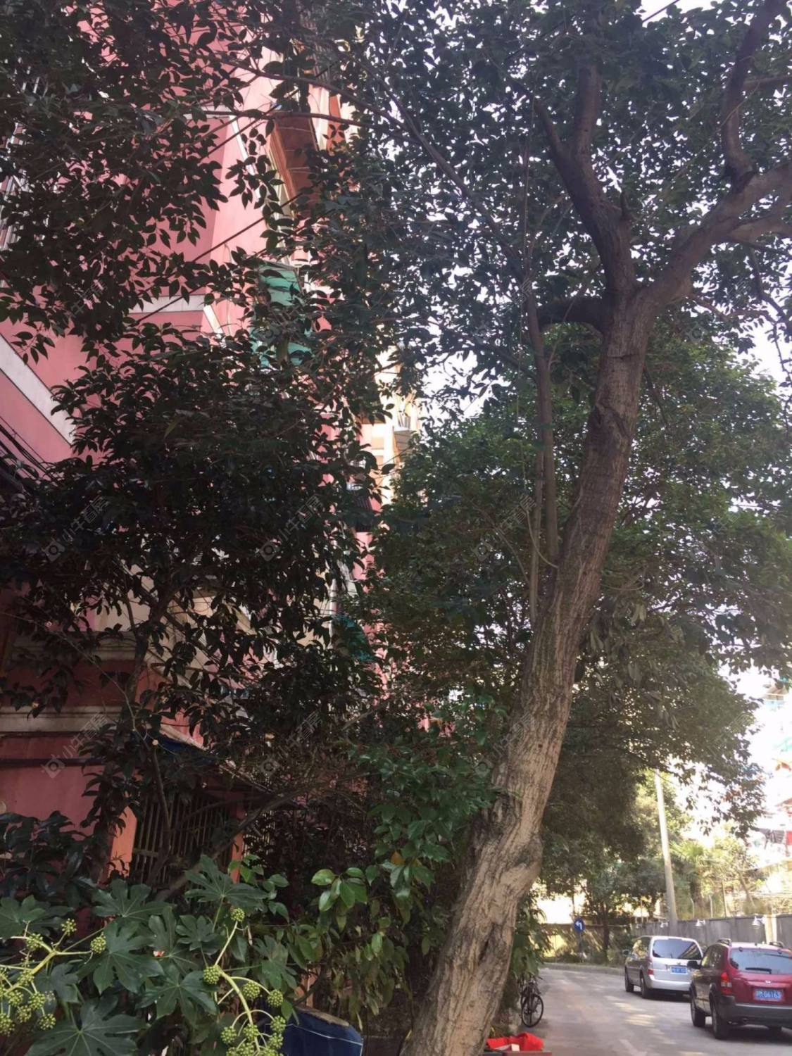 上海乐久公寓小区_乐久公寓小区null