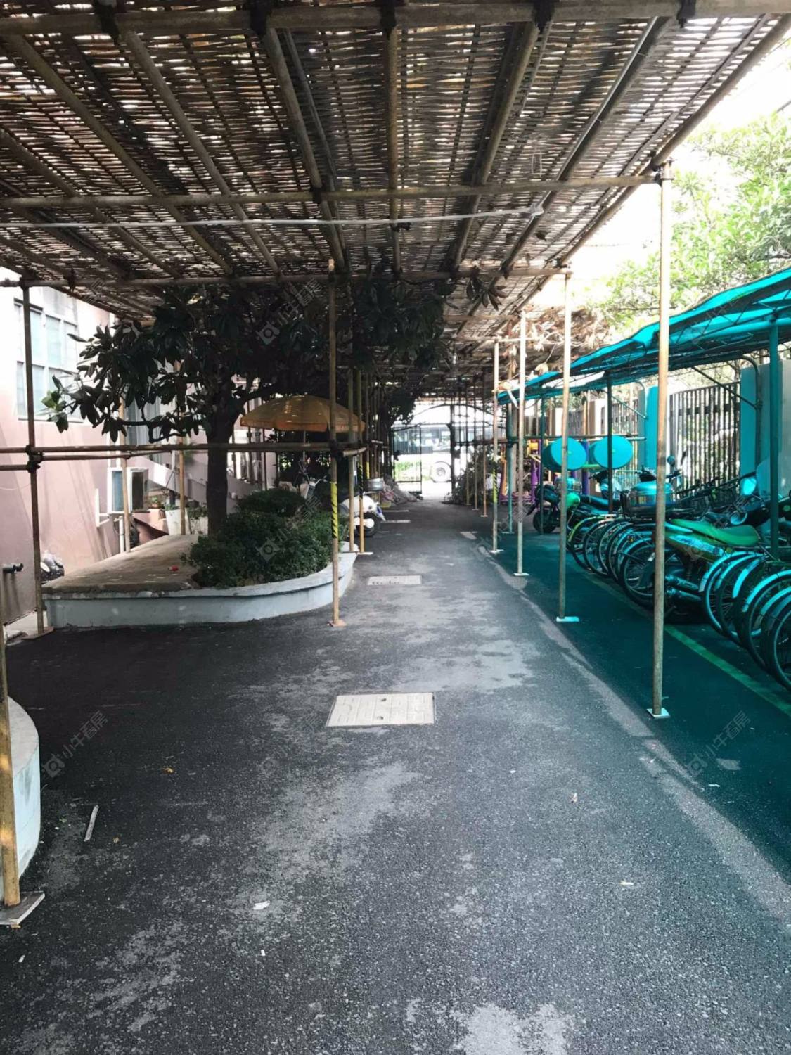 上海武定大楼小区_武定大楼小区实景图