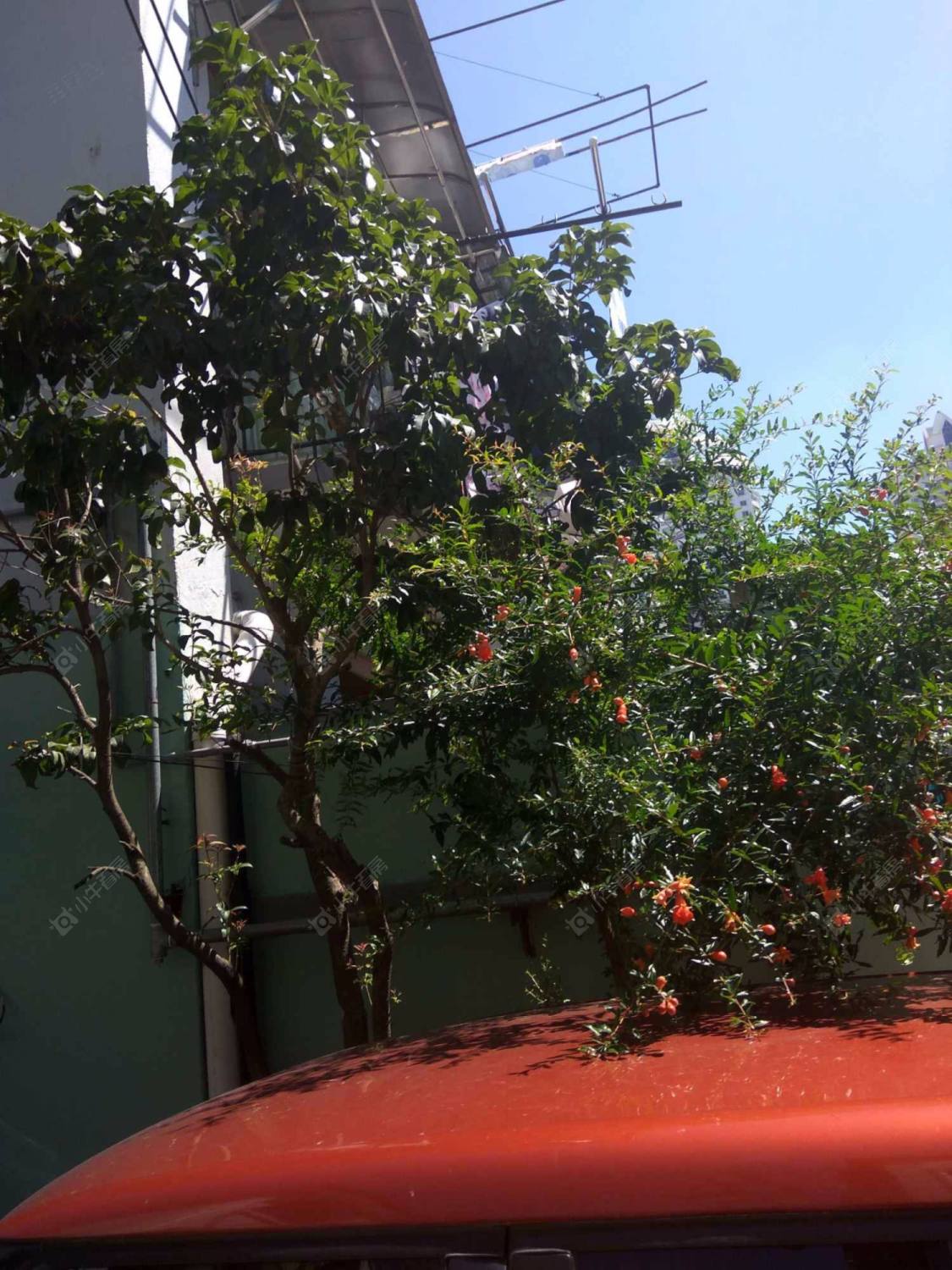 上海复兴中路1295弄小区_复兴中路1295弄小区null