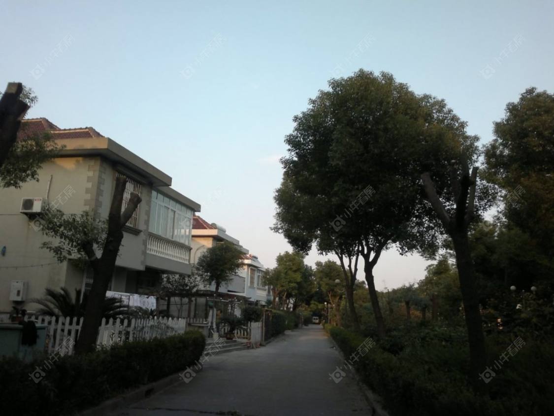上海兴苑小区小区_兴苑小区小区null