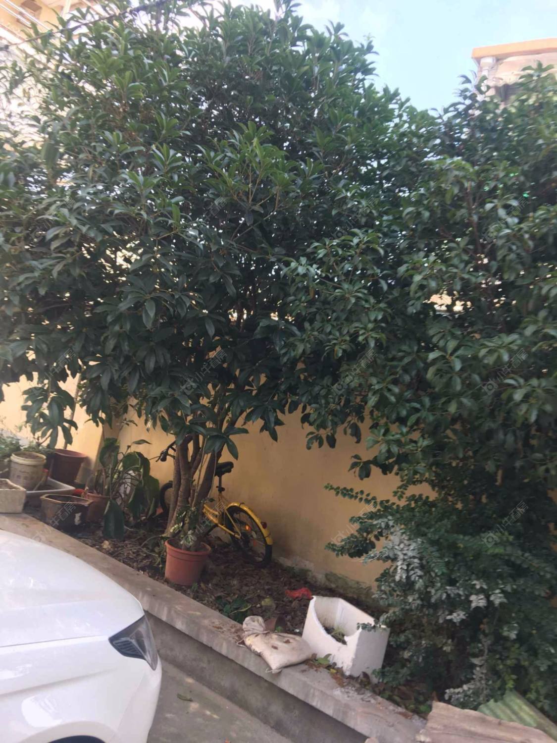 上海北蔡大街31弄小区_北蔡大街31弄小区null