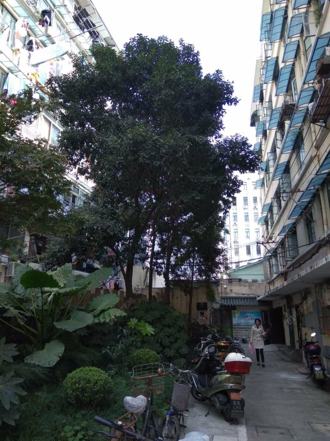 上海宁波小区小区_宁波小区小区null