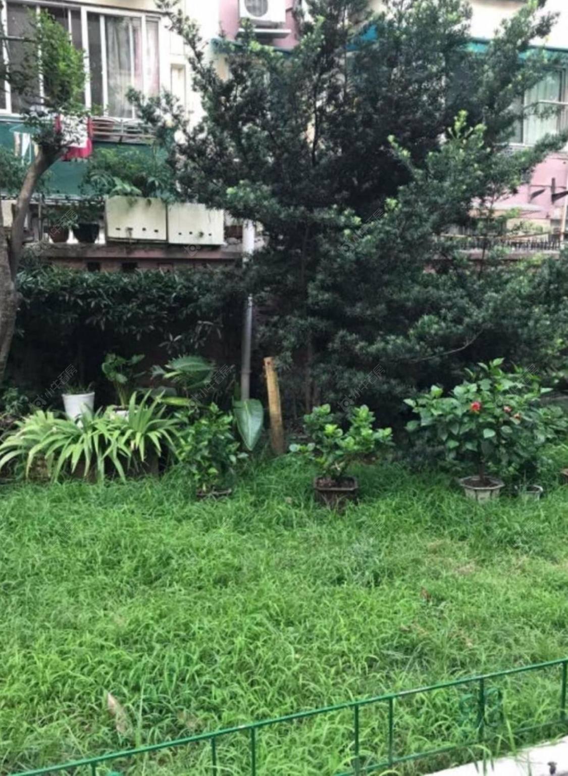 上海向新新村小区_向新新村小区null