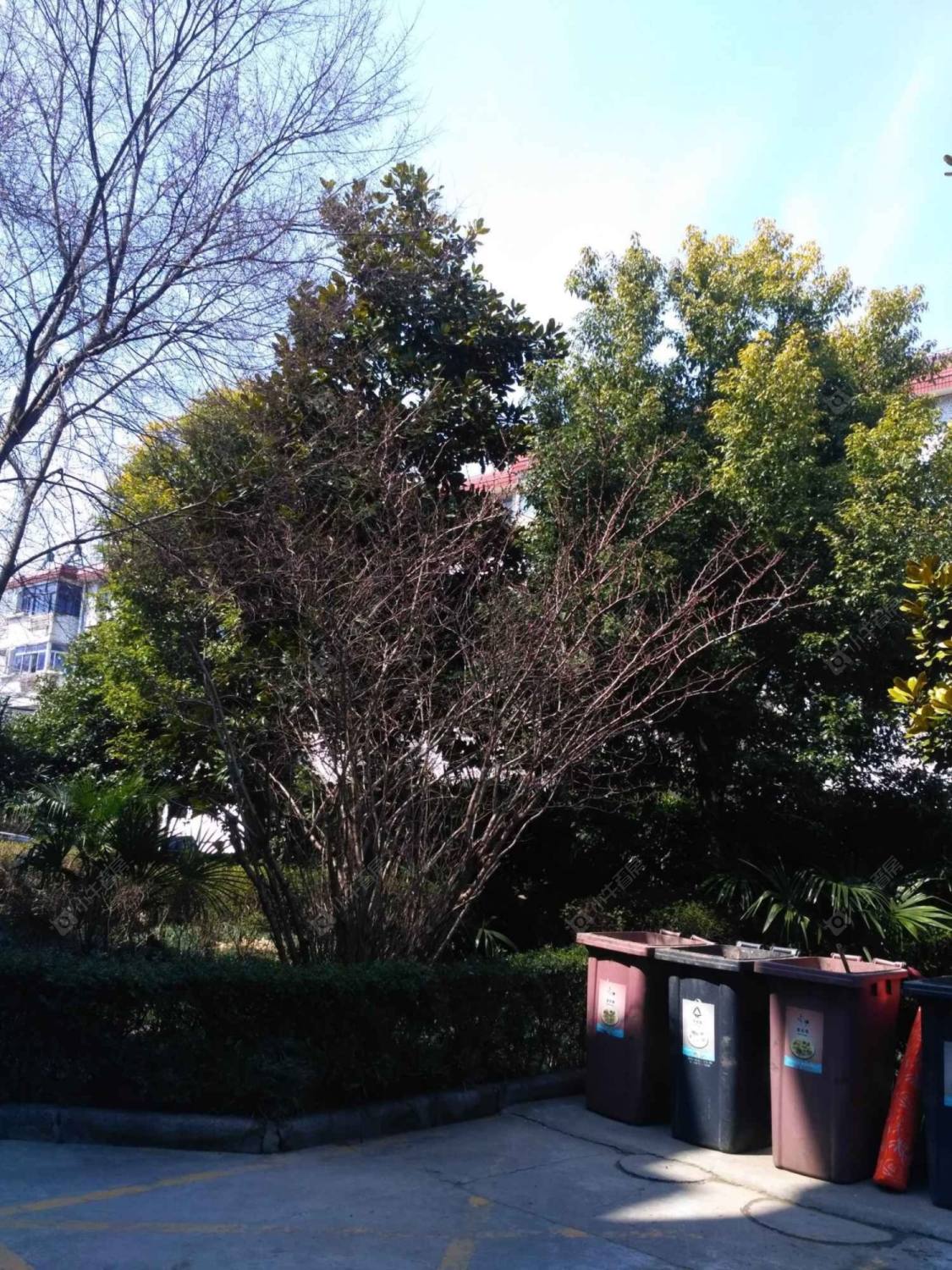 上海陈华港小区小区_陈华港小区小区null