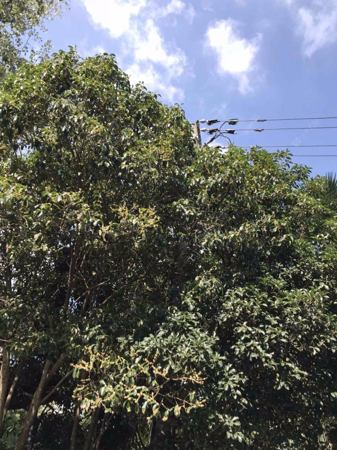 上海德州七村380弄小区_德州七村380弄小区null