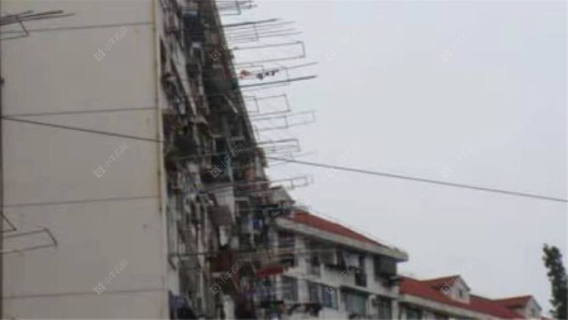 上海朱家角镇庆丰村小区_朱家角镇庆丰村小区null