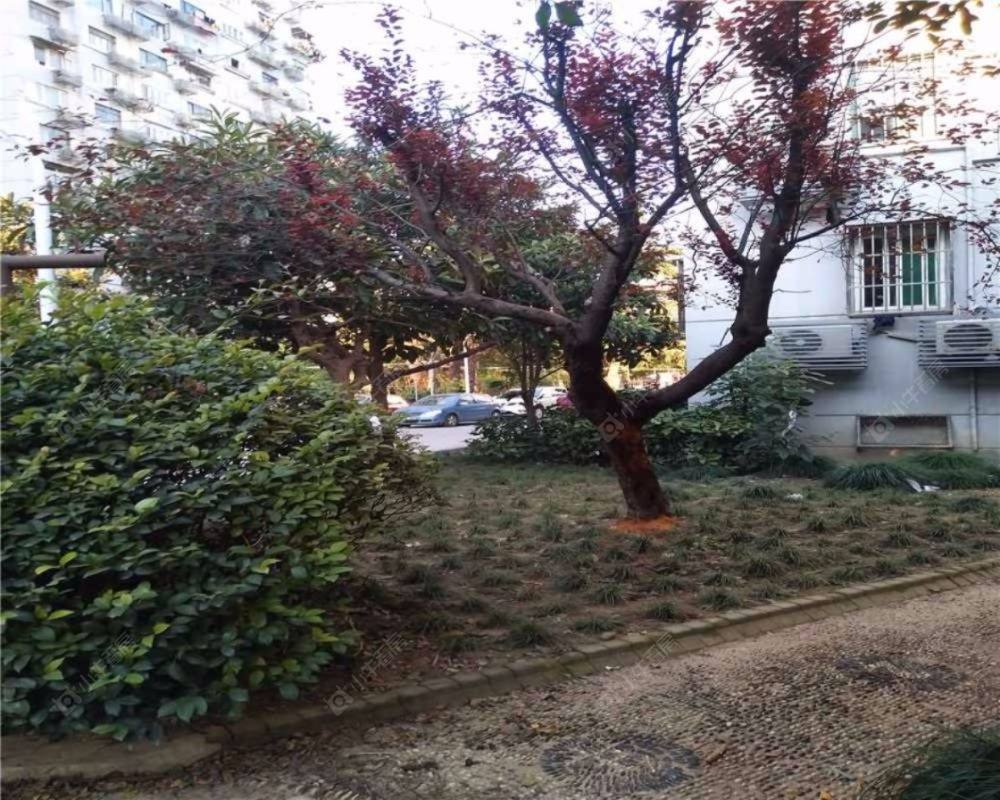 上海东明公寓小区_东明公寓小区null