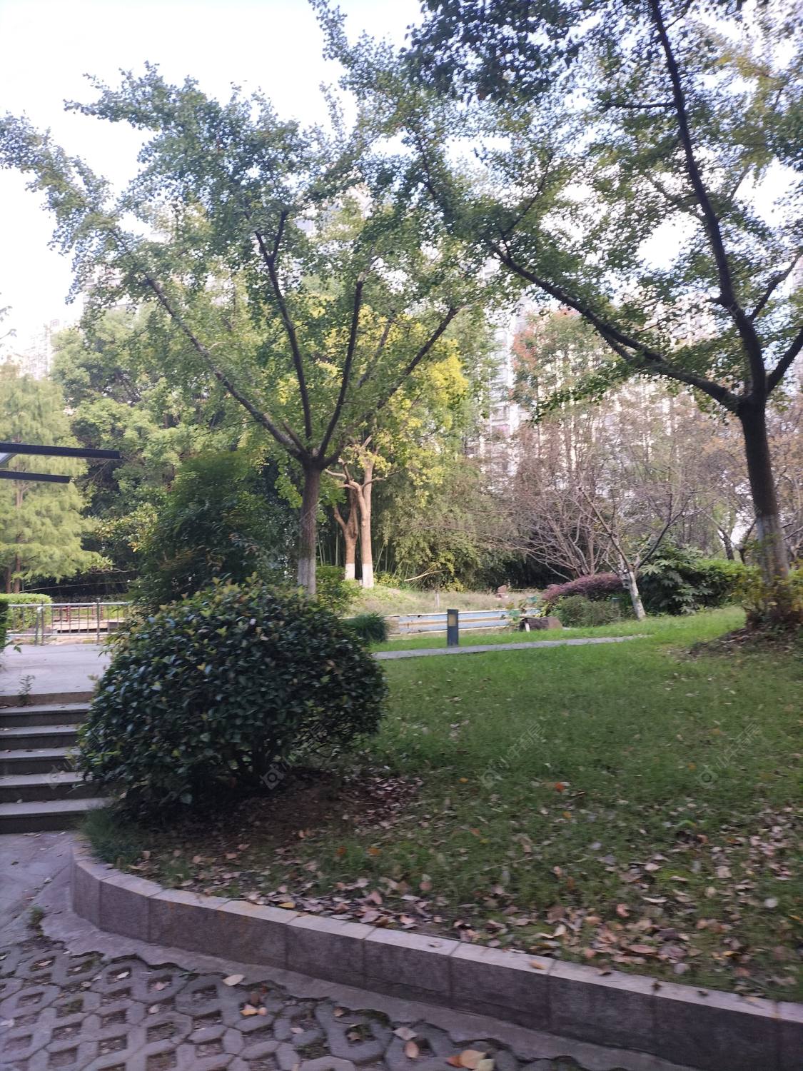 上海普陀民营科技企业总部大厦小区_普陀民营科技企业总部大厦小区null