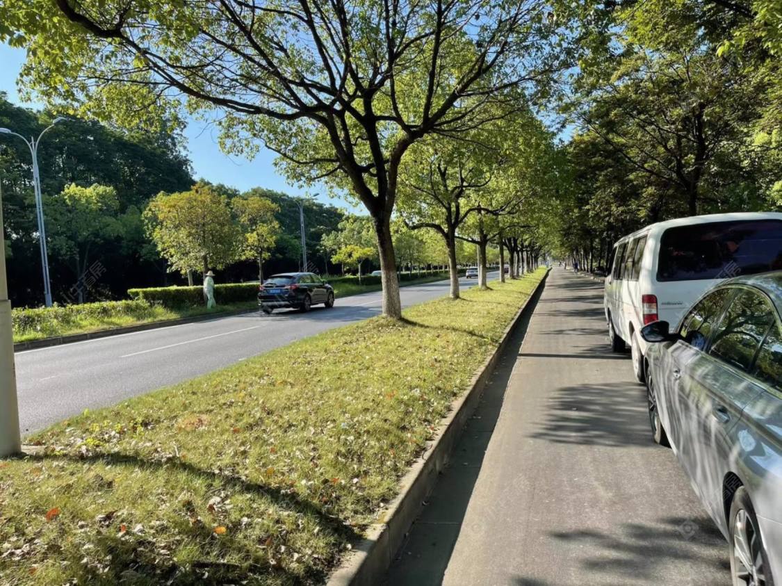 中房森林别墅封面图_小牛看房