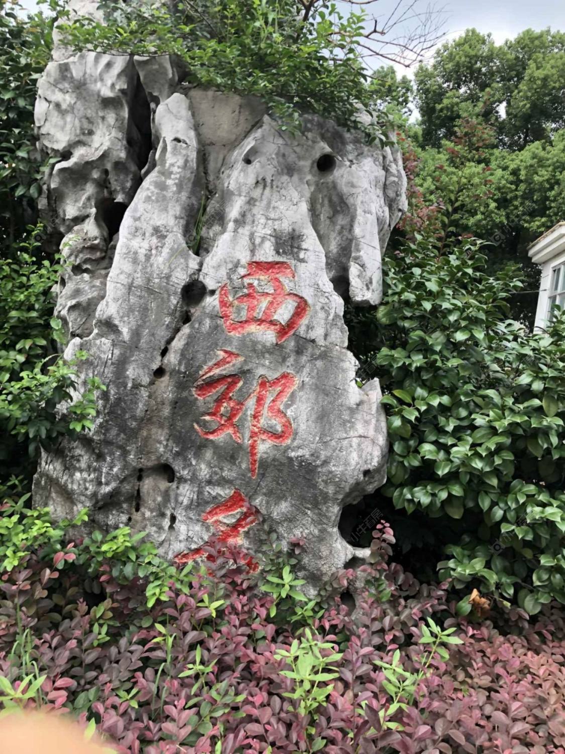 上海西郊名邸858弄小区_西郊名邸858弄小区null