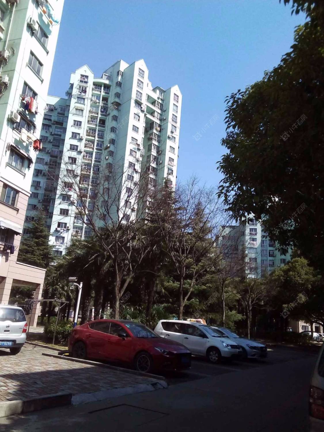 上海棕榈苑小区_棕榈苑小区null