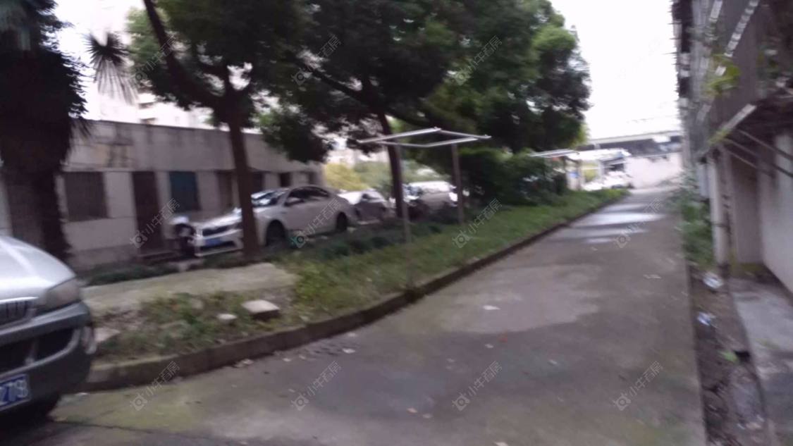 上海金泰小区小区_金泰小区小区null