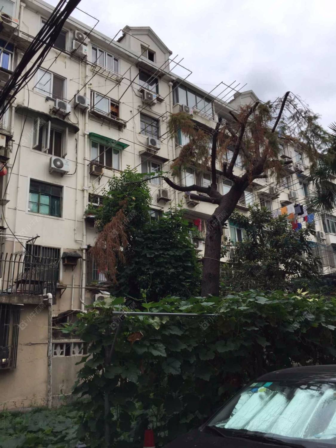 上海上南五村121弄15支弄小区_上南五村121弄15支弄小区null