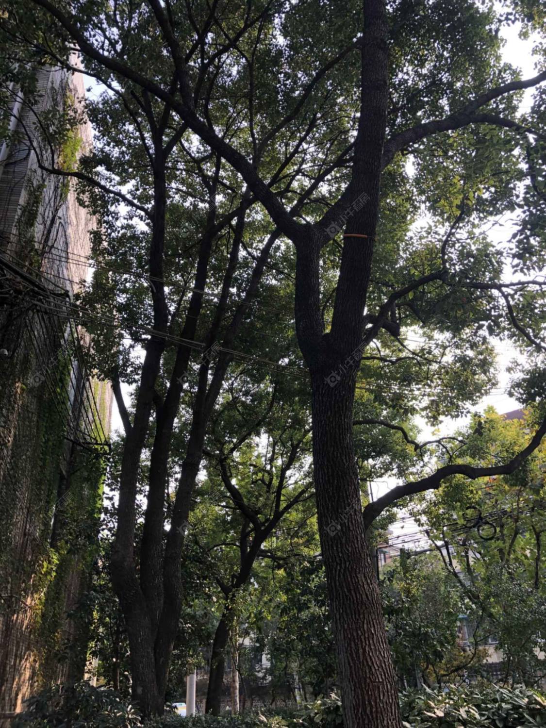 上海牛庄路641弄小区_牛庄路641弄小区null