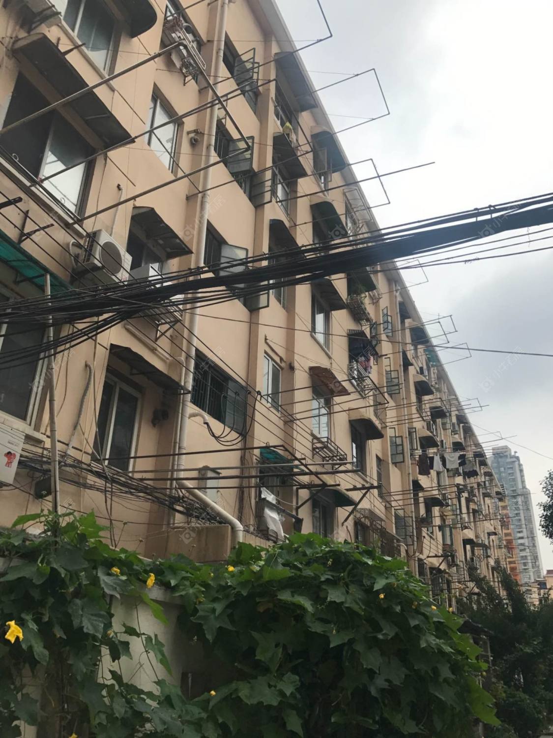 上海徐家宅小区(长宁)小区_徐家宅小区(长宁)小区null