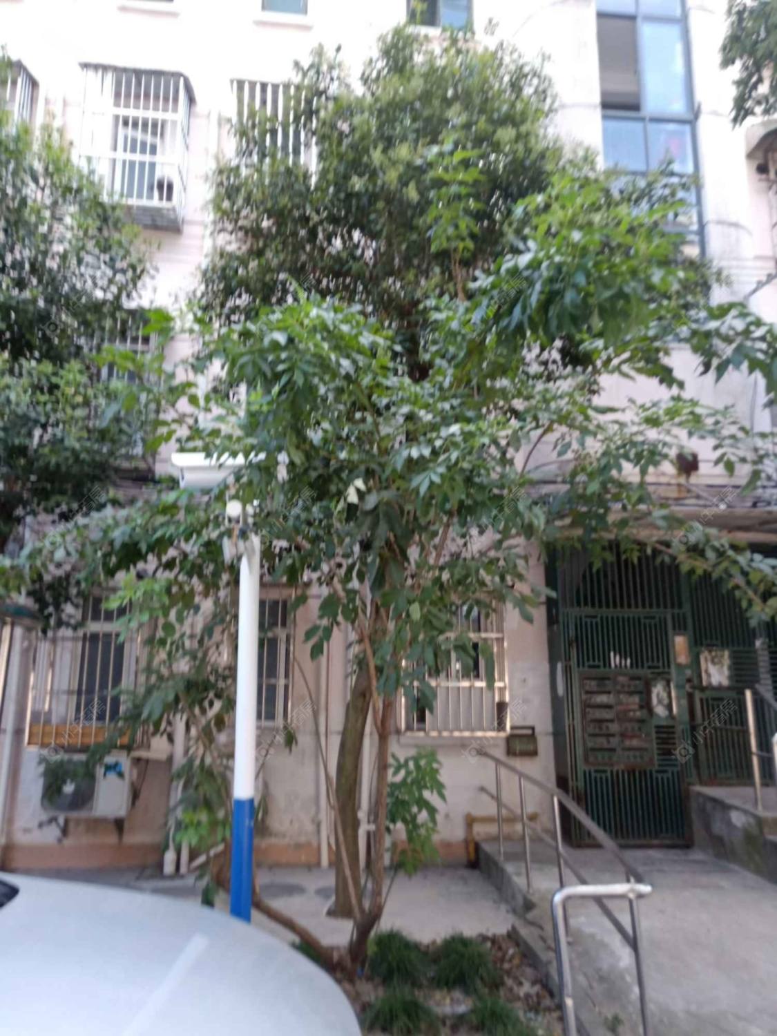 上海浦三路650弄小区_小牛看房