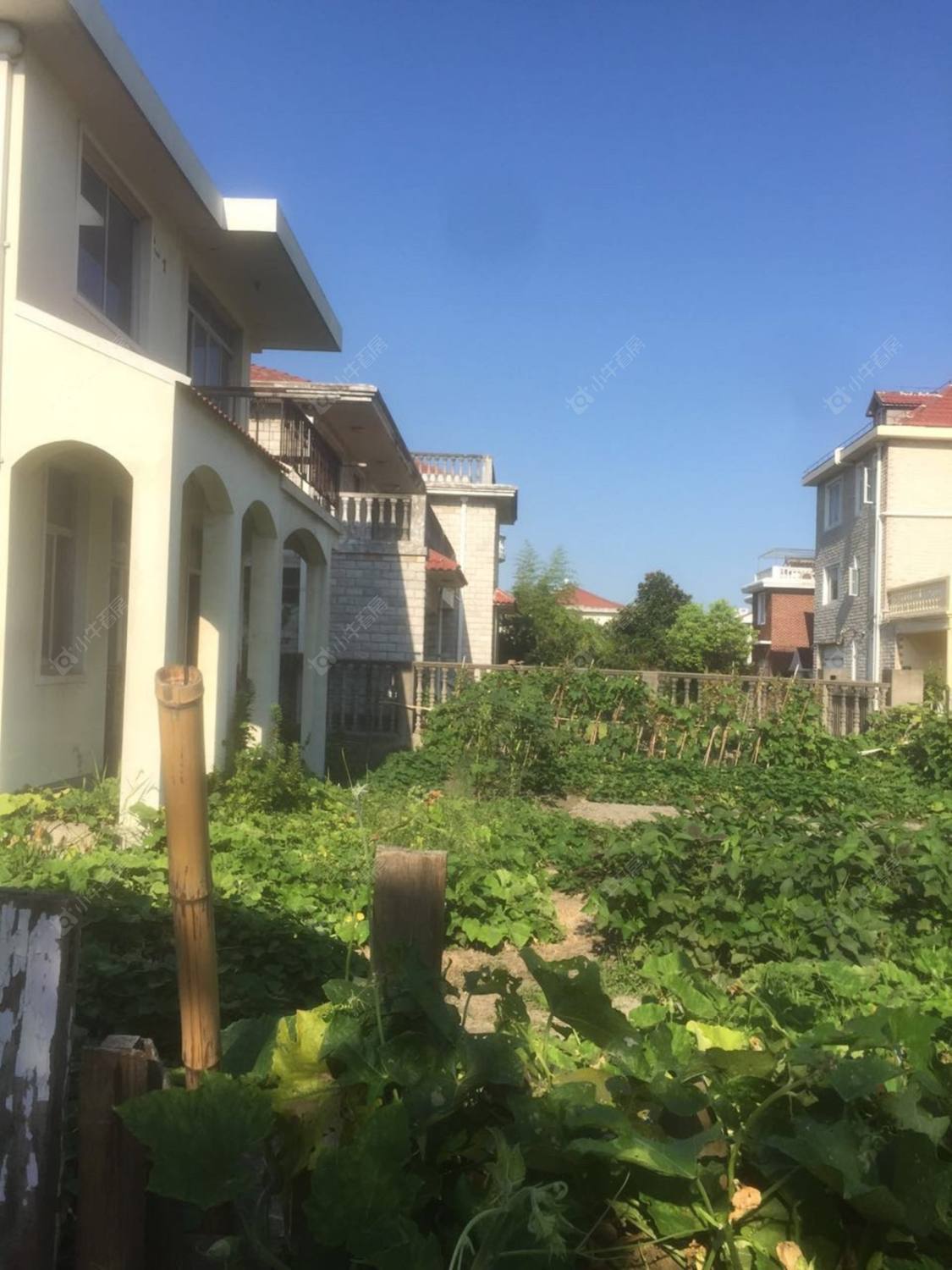 上海金海湾别墅小区_金海湾别墅小区null