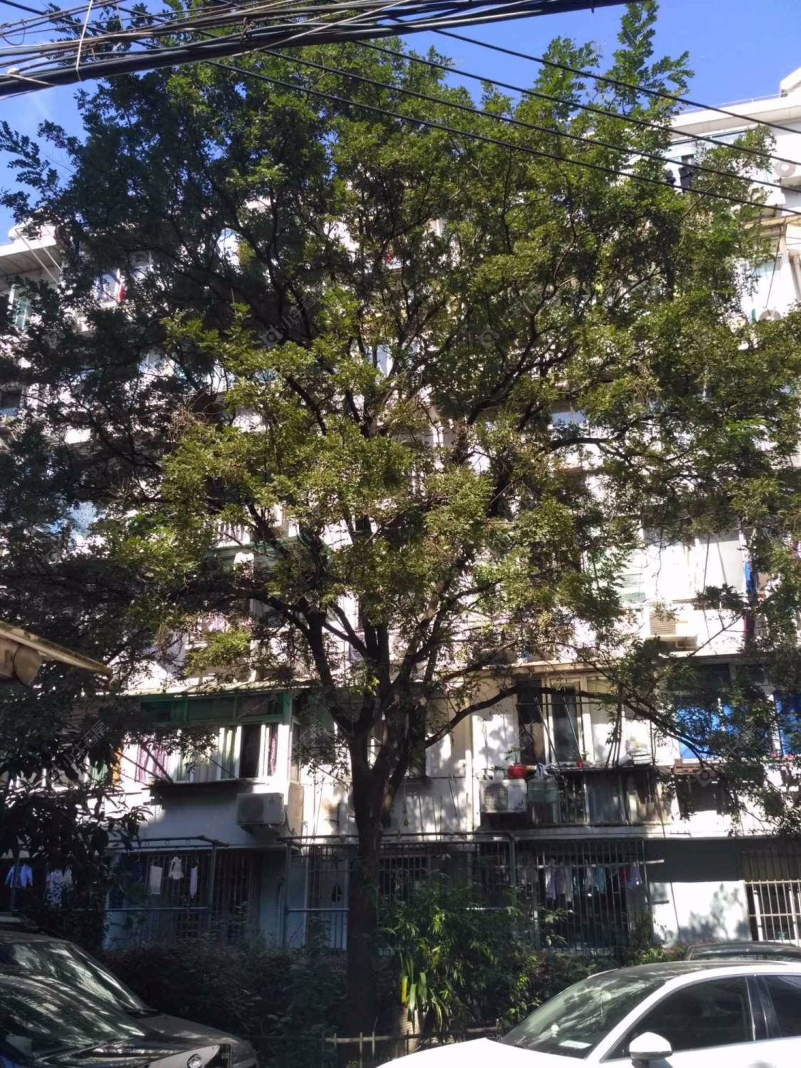 上海南车站路450弄小区_南车站路450弄小区null