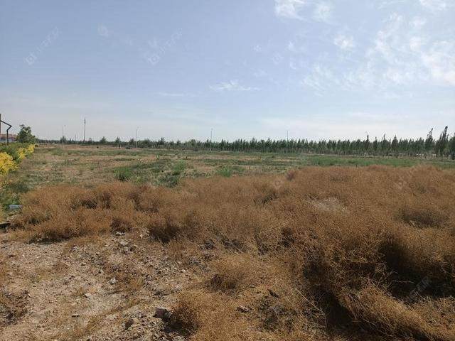 上海雅戈尔·星海云境小区_雅戈尔·星海云境小区null