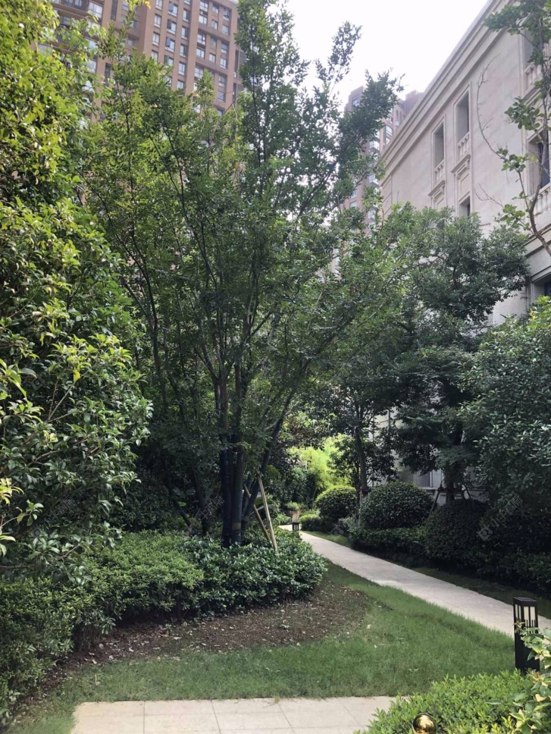 万科翡翠雅宾利封面图_小牛看房