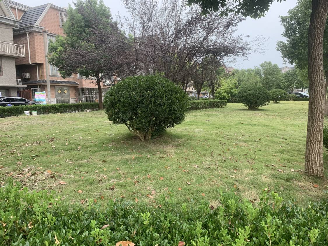 上海松沪苑小区_松沪苑小区null