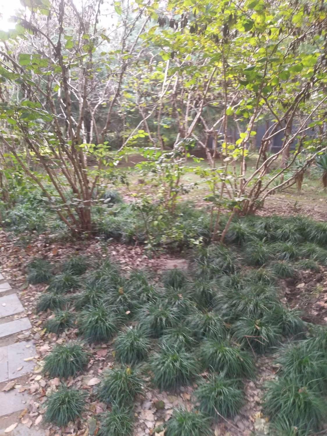 嘉旺苑封面图_小牛看房