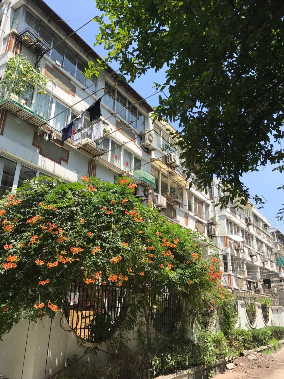 上海欧阳路300弄小区_欧阳路300弄小区null