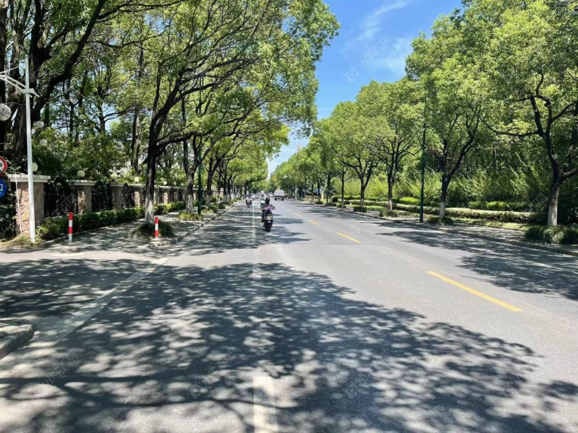 上海西郊美林馆小区_西郊美林馆小区null