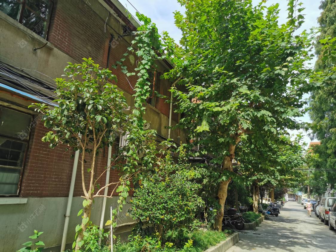 上海溧阳小区小区_溧阳小区小区null