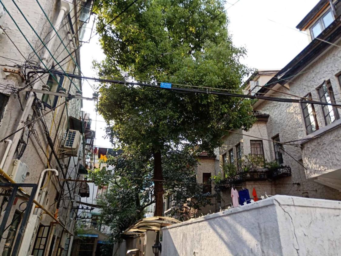 上海光明村(南昌路)小区_光明村(南昌路)小区实景图