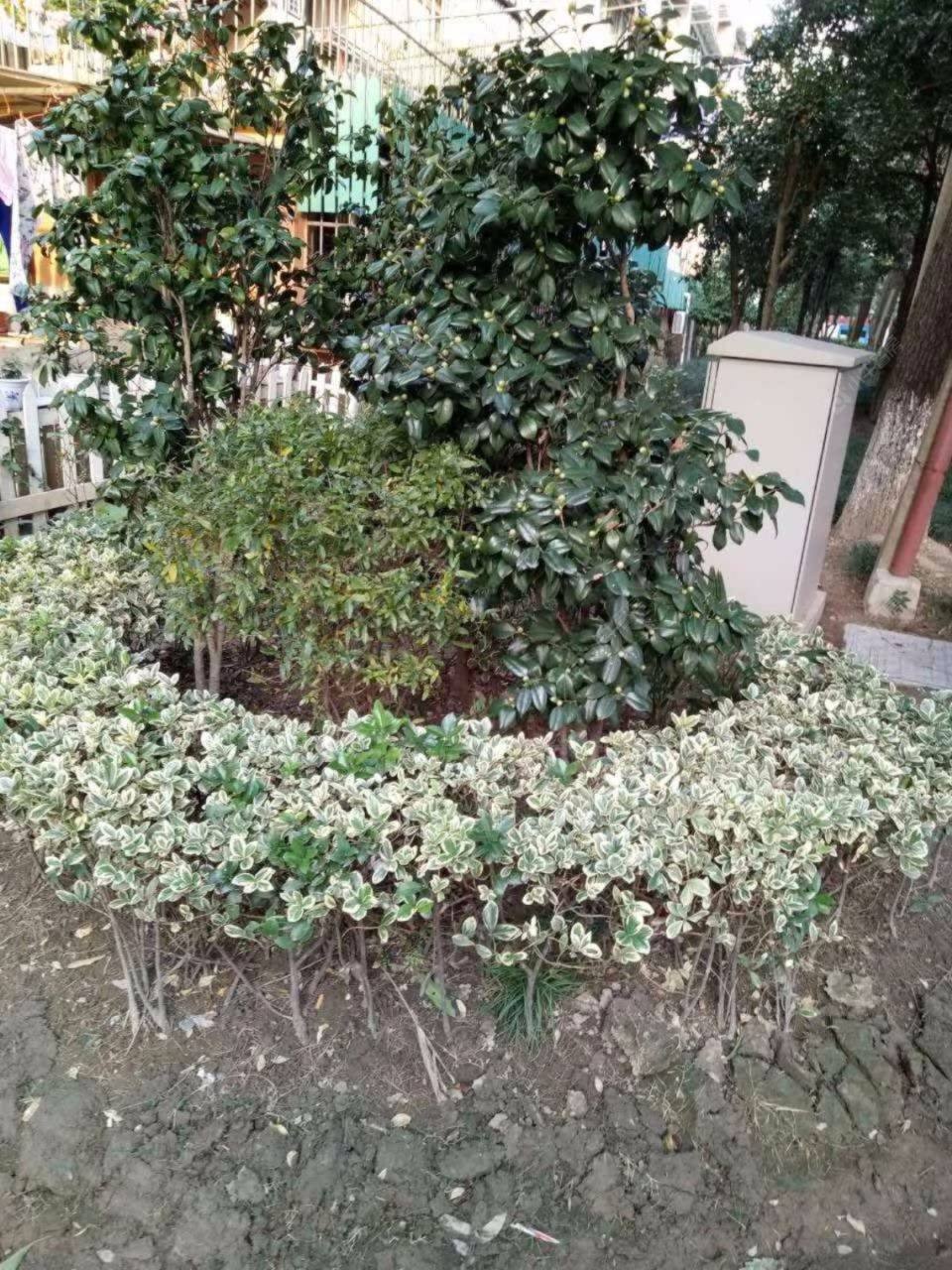 上海密山二村小区_密山二村小区实景图